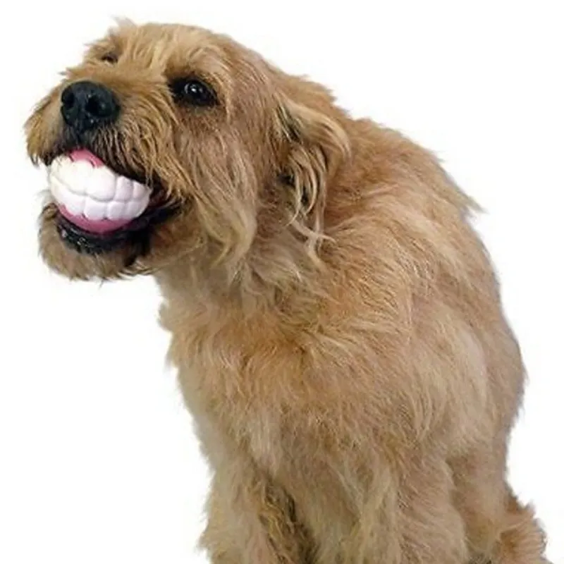 Pat and Pet Emporium | Pet Chew Toys | Teeth Clean Ball 3 Pcs