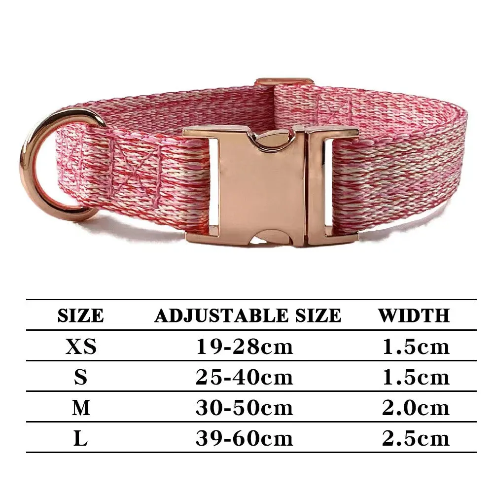Personalized Dog Collar and Leash Set with Engraved Nameplate