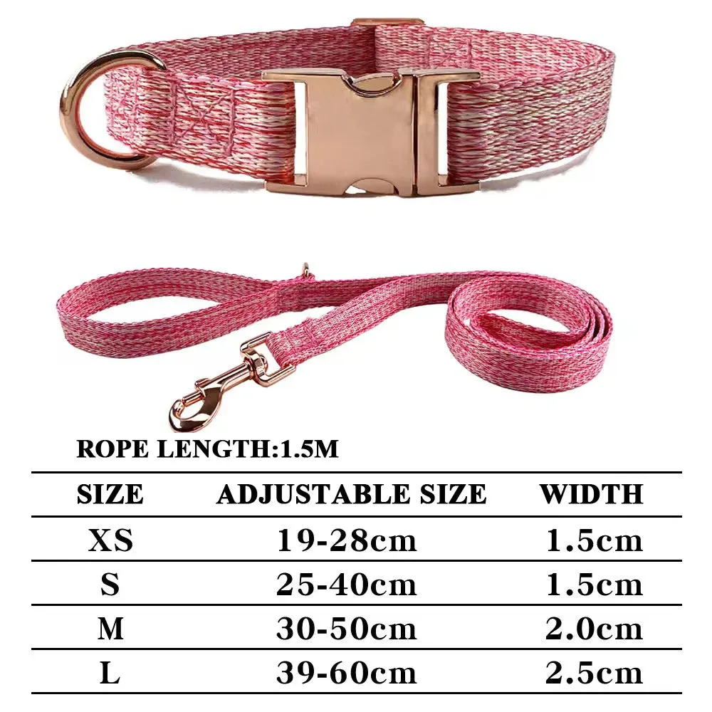 Personalized Dog Collar and Leash Set with Engraved Nameplate