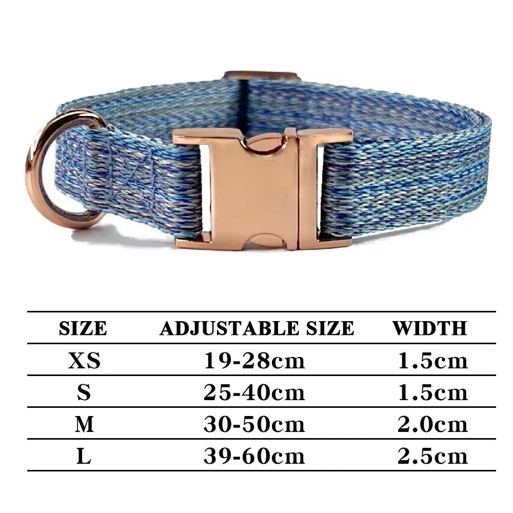 Personalized Dog Collar and Leash Set with Engraved Nameplate