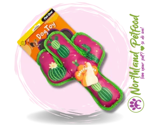 Pet One Interactive Squeaky Watermelon Cactus Dog Toy