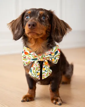 PF x The Foggy Dog Butterfly Grove - Lady Dog Bow - Soft Blue