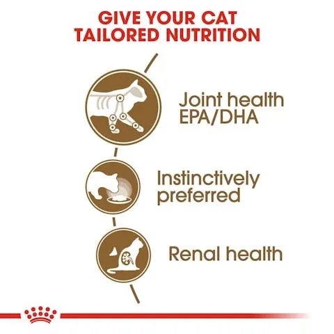 Royal Canin | Cat Wet Food Pouch | Ageing 12  In Jelly - 85g