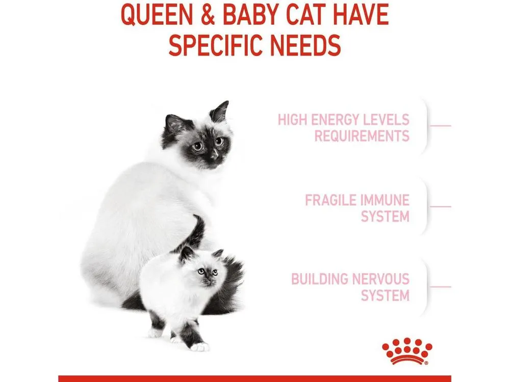 Royal Canin Feline Health Nutrition Mother and Babycat 2 KG