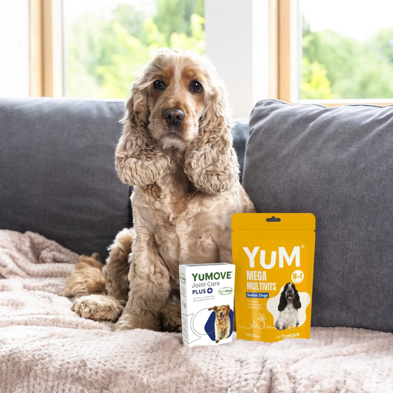 Senior Dog Bundle Lite
