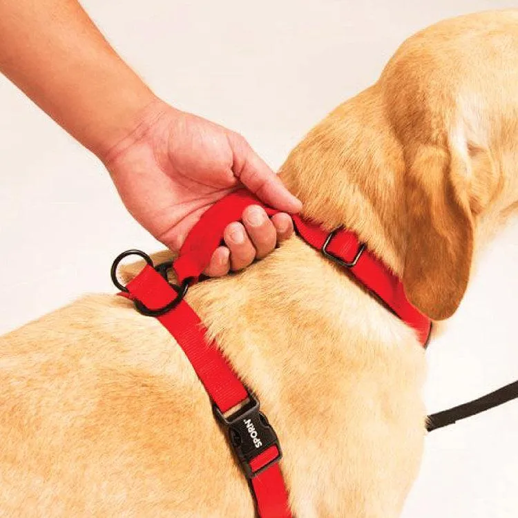 Sporn Ultimate Control Harness Black Medium*