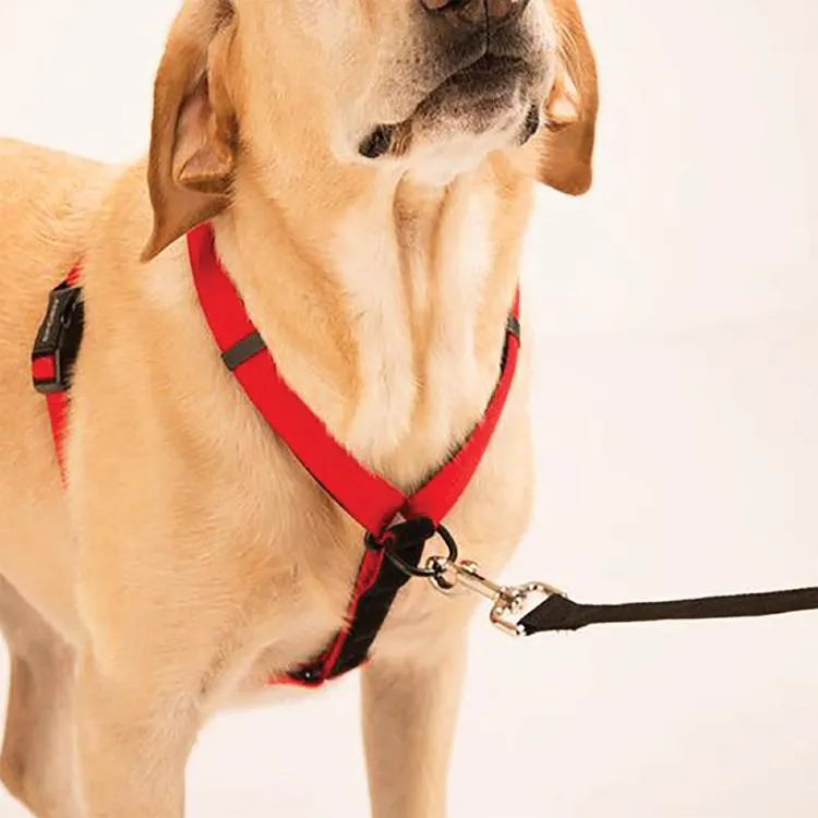 Sporn Ultimate Control Harness Black Medium*