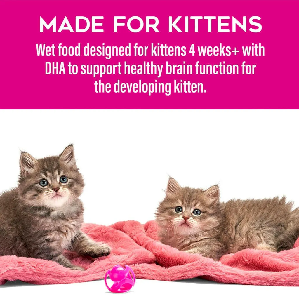 Tiki Cat Baby Chicken & Chicken Liver Pate Grain-Free Wet Food for Kittens (2.4 oz x 12 cans)