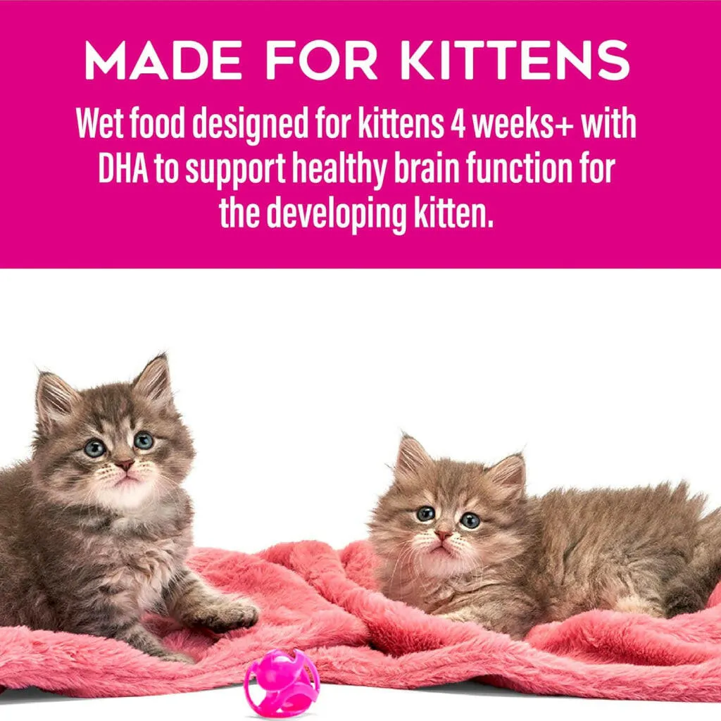 Tiki Cat Baby Pate Variety Pack Wet Food for Kittens (2.4 oz x 12 cans)