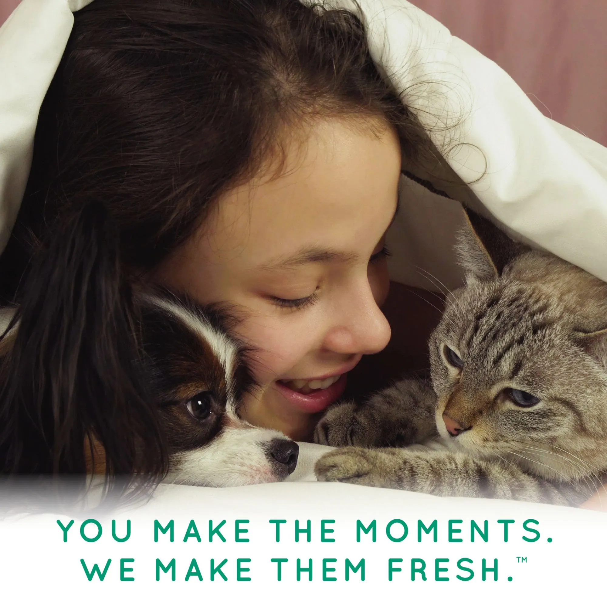 Tropiclean Waterless Cat Shampoo