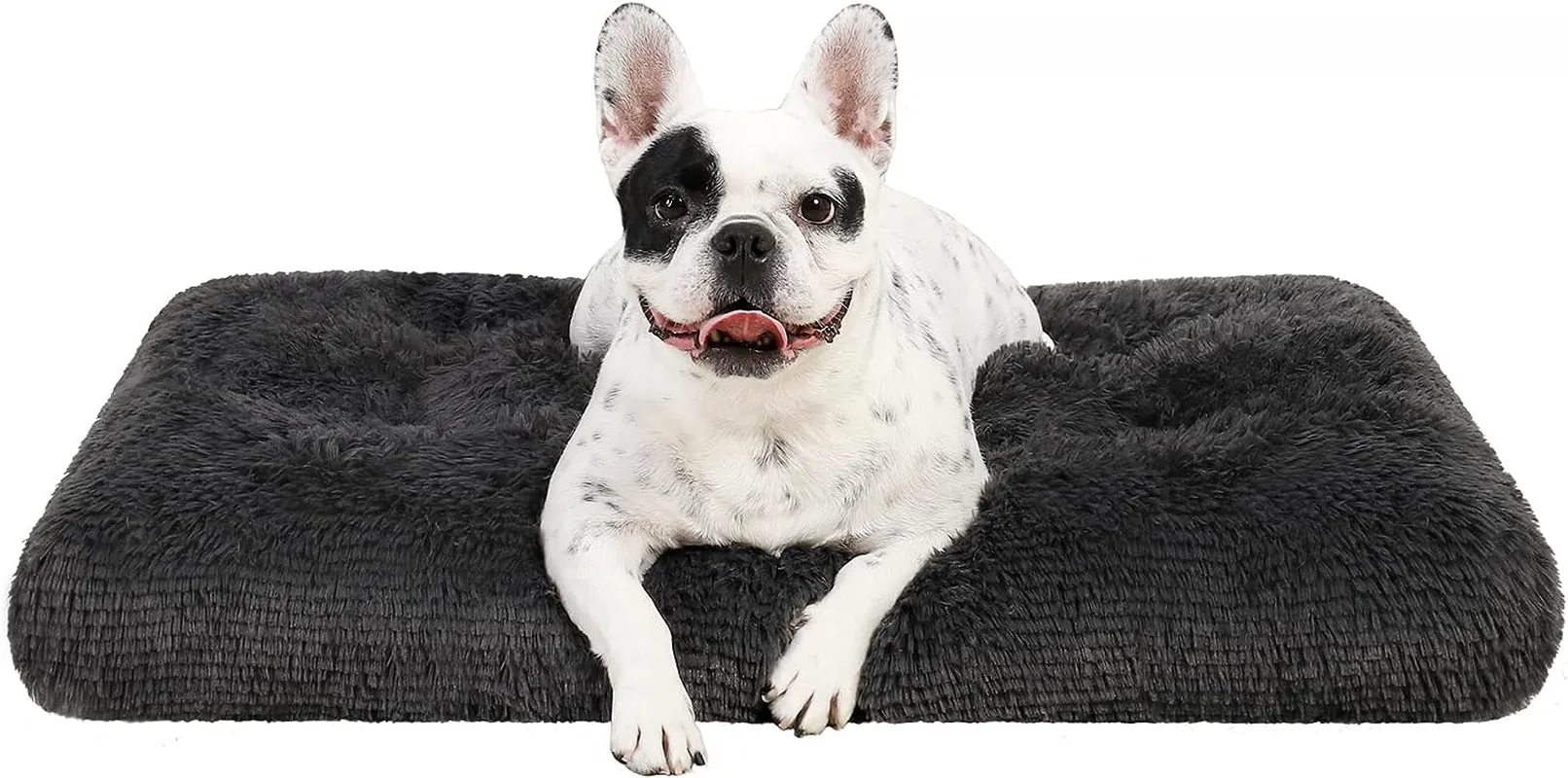 Washable Dog Beds