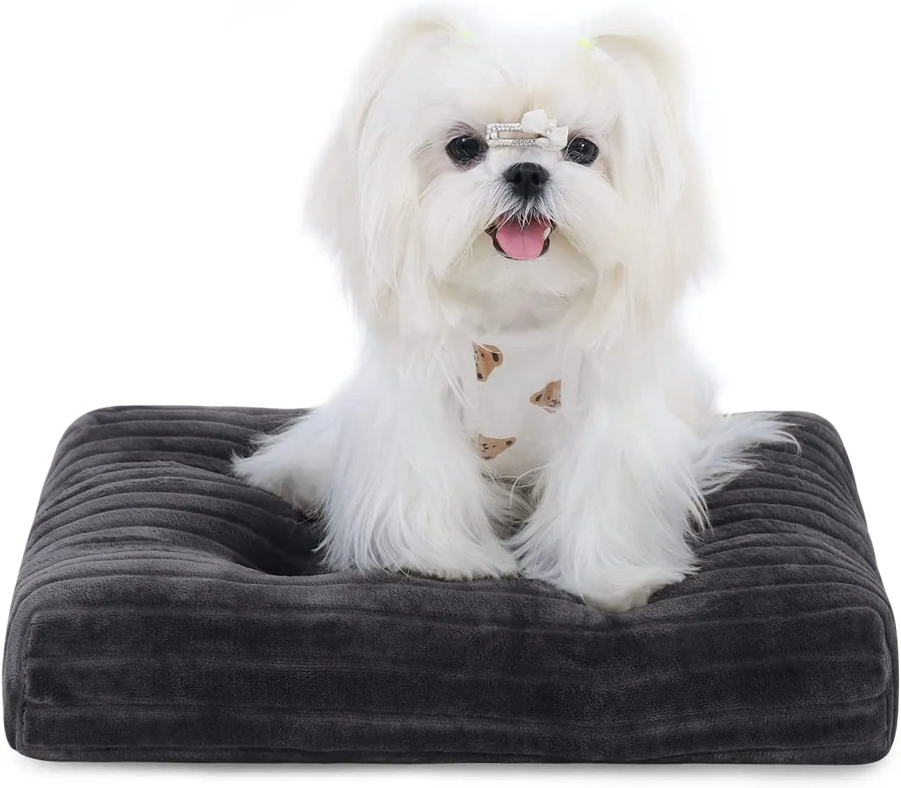Washable Dog Beds