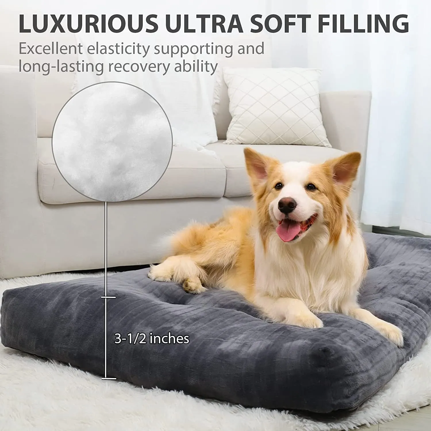 Washable Dog Beds