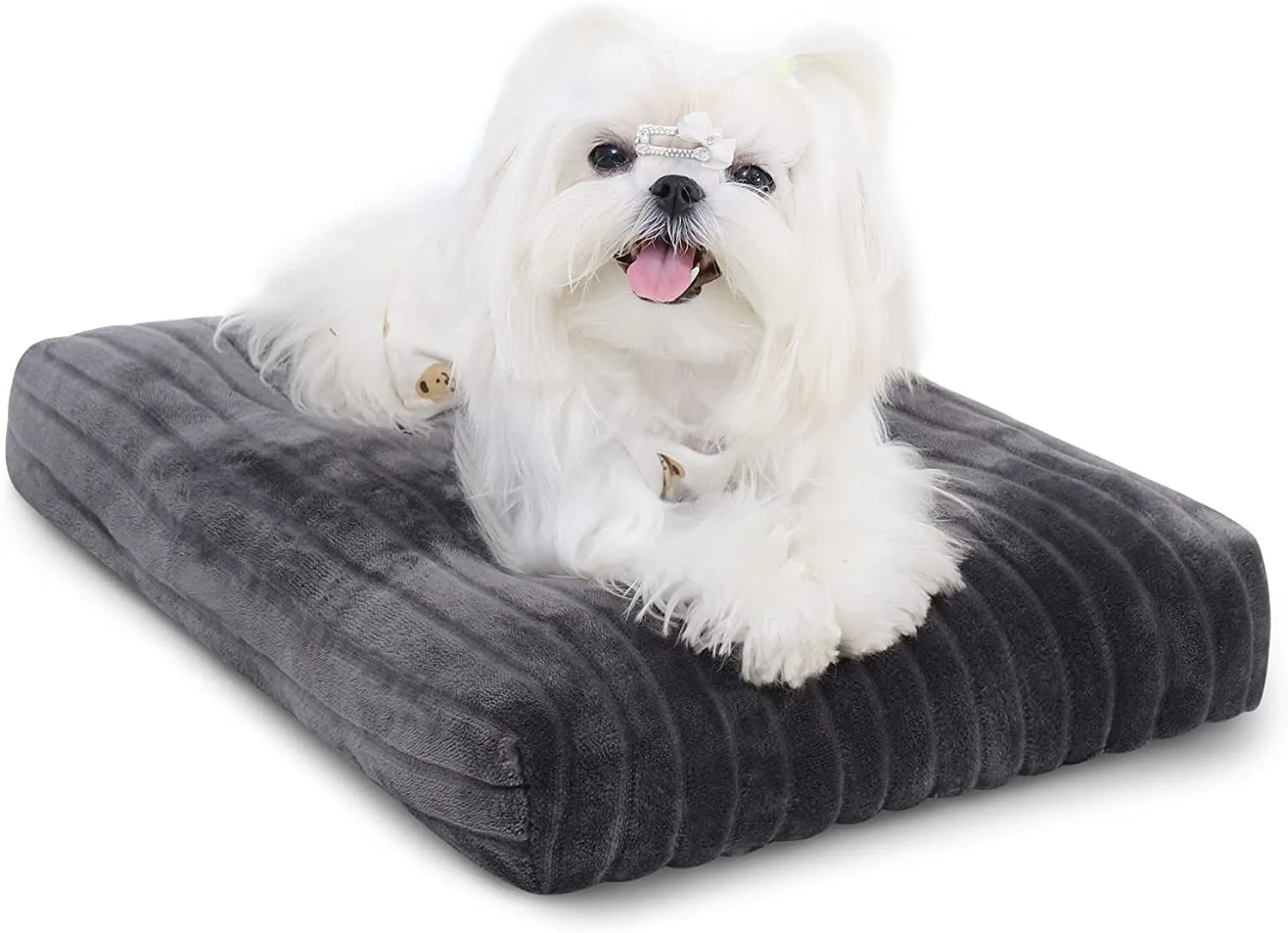 Washable Dog Beds