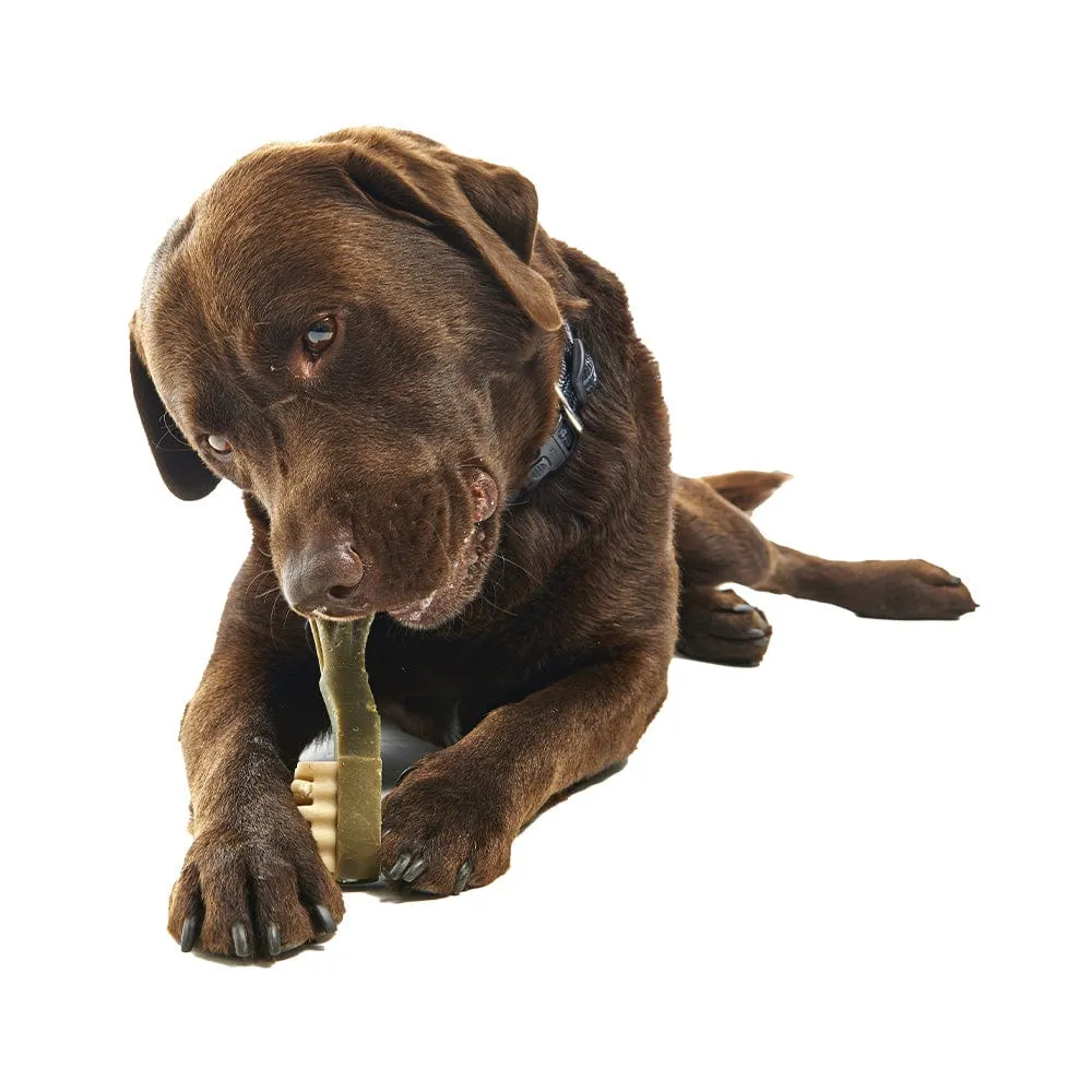 Whimzees dental brush treats for dogs